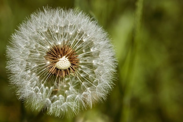 从单人SOHO到集团化运营，恒诚陪伴的八年